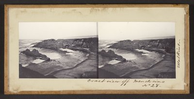 Pohled na pobřeží z Mendocina od Carleton Watkins