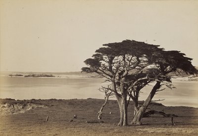  od Carleton Watkins