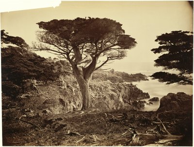  od Carleton Watkins