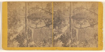 [Pohled do zrcadla, Yosemitské údolí, okres Mariposa, Cal.] od Carleton Watkins