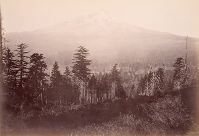 od Carleton Watkins