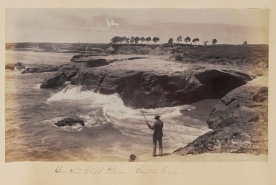  od Carleton Watkins