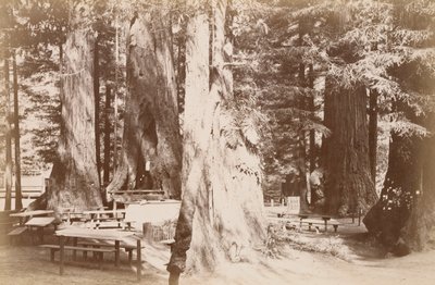  od Carleton Watkins
