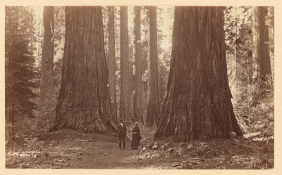  od Carleton Watkins