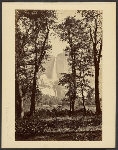  od Carleton Watkins