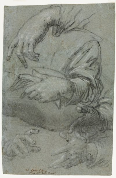 Studium rukou (recto) od Carletto Caliari
