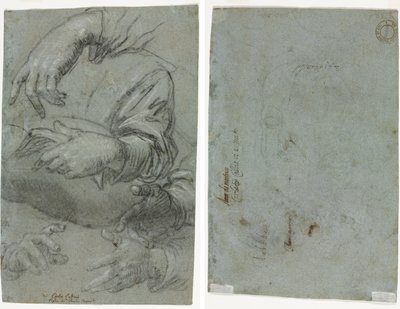 Studie rukou (recto); Náčrt dětské hlavy (verze) od Carletto Caliari