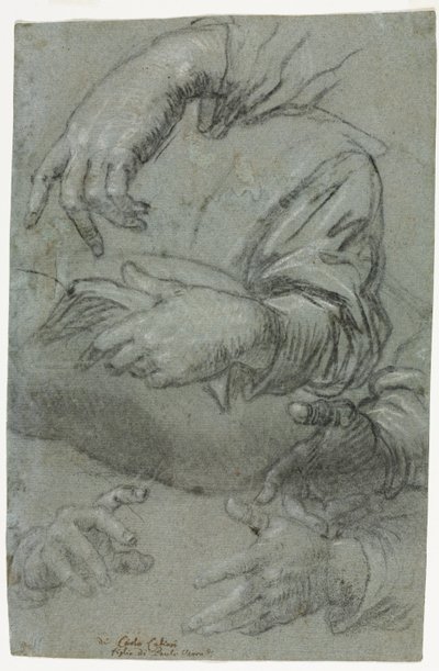 Studie Hands recto, c. 1586. od Carletto Caliari