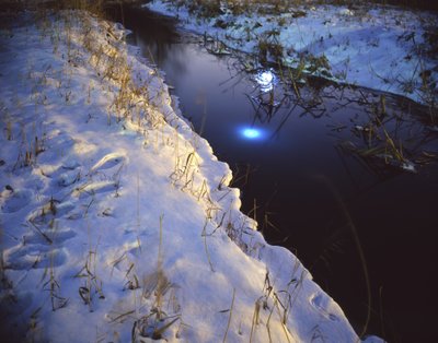 Malování ve tmě, 2011 od Carli Choi