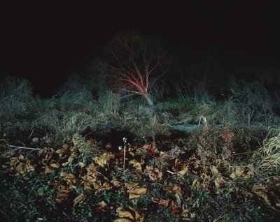 Malování ve tmě, 2011 od Carli Choi