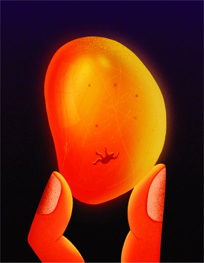 Amber, 2020 (digitální ilustrace) od Carlo Alberto Giardina