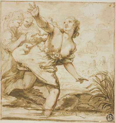 Žena v letu od Carlo Cignani