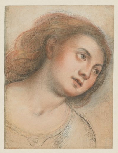 Studie pro ženskou hlavu (verso); Hlava Krista (recto) od Carlo Francesco Nuvolone