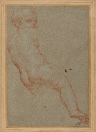 Studie mladého chlapce od Carlo Maratta