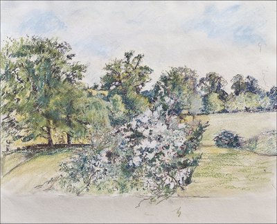 Srpen z našeho okna, 2007 (pastel & wc na papíře) od Caroline Hervey Bathurst