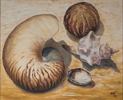Mušle, 1993 (olej na papíře) od Carolyn Hubbard Ford