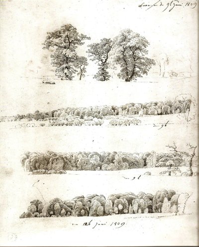 Studie stromů 1809 od Caspar David Friedrich