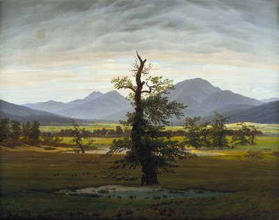 Osamělý strom od Caspar David Friedrich