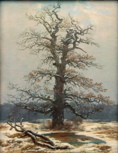 Dub ve sněhu od Caspar David Friedrich