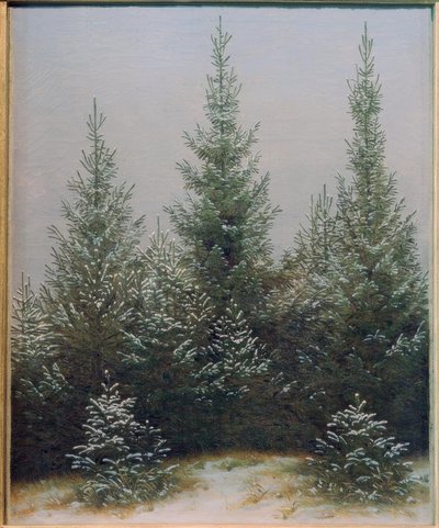 Smrkové houštiny ve sněhu od Caspar David Friedrich