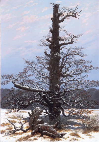 Německy: Eichbaum im Schnee Dub na sněhu od Caspar David Friedrich