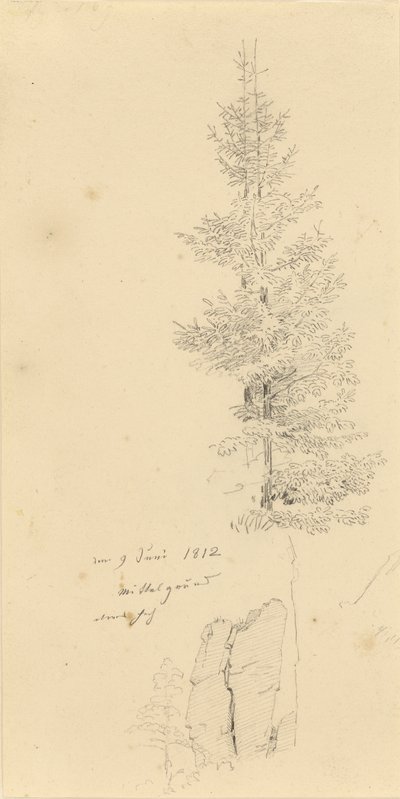 Německy: Studie mit Fichten und Felsen Studie smrků a skály od Caspar David Friedrich