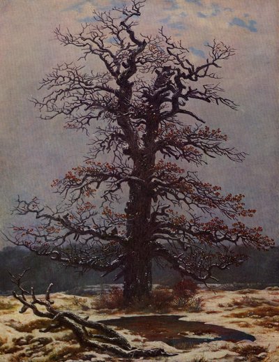Dub na sněhu od Caspar David Friedrich