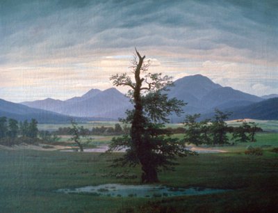 Osamělý strom, 1823 od Caspar David Friedrich