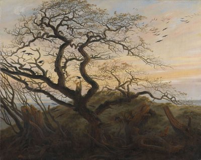 Strom vran od Caspar David Friedrich