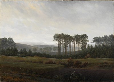 Denní doby: Odpoledne, 1821-1822 od Caspar David Friedrich