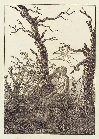 Žena s pavučinou od Caspar David Friedrich