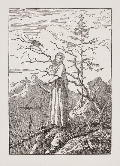 Žena s havranem u propasti od Caspar David Friedrich