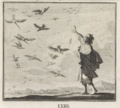 Emblém: ptáci od Caspar Luyken