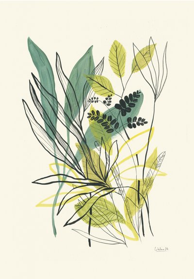Botanické odstíny zelené a žluté od Catalina Somolinos