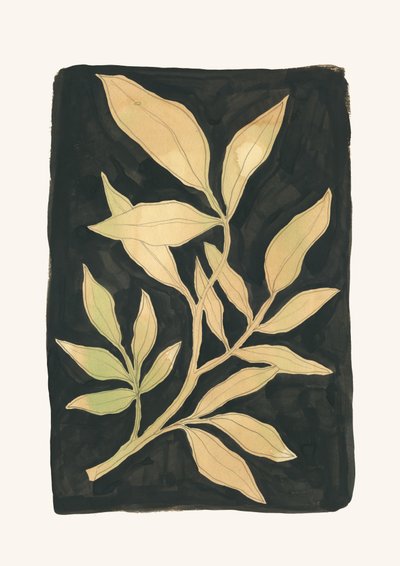Tmavá botanická zeleň od Catalina Somolinos