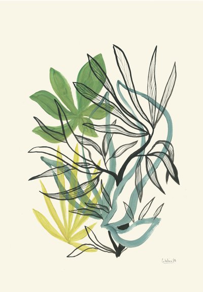 Plynulé botanické zelené odstíny od Catalina Somolinos