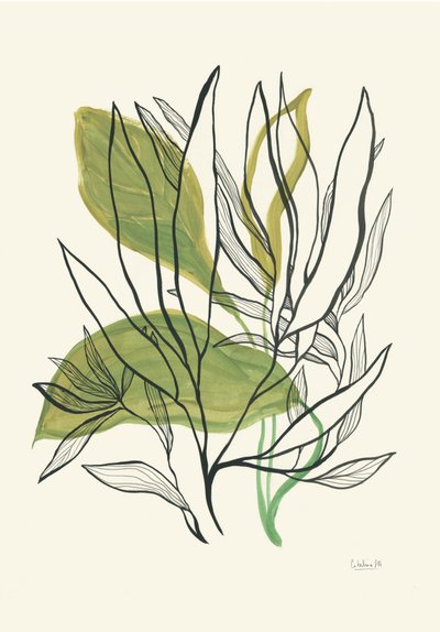Moderní botanické listy od Catalina Somolinos