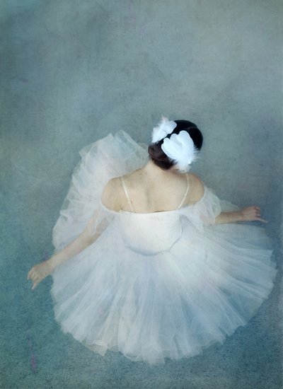 Elegantní balerína Swan od Catherine Wang