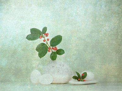 Přírodní bobule, kámen, zen od Catherine Wang