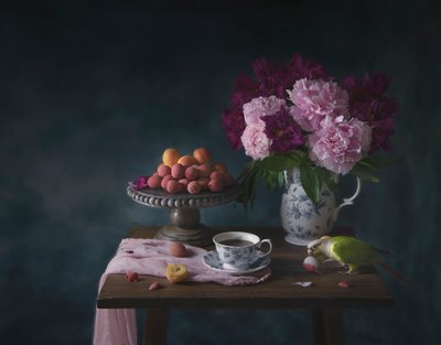 Pamlsek od Parrota od Catherine Wang
