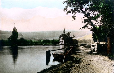 Ostrov Henley Regatta, 20. století. od Cavenders Ltd