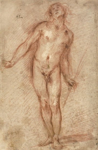 Stojící mužský akt, 1637-38 od Cecco Bravo