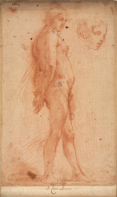 Studie stojícího mužského aktu se studií hlavy v tříčtvrtečním profilu, c. 1640. od Cecco Bravo