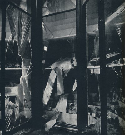 Vitríny v Natural History Museum, 1941 od Cecil Beaton