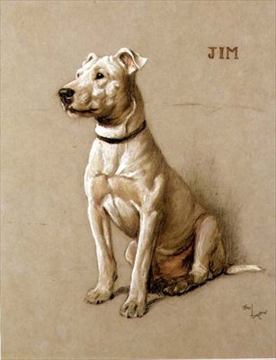 Jim, bulteriér (křída na šedém papíře) od Cecil Charles Windsor Aldin