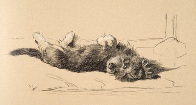 Detail štěněte Rough Daschund, 1930, ilustrace z jeho Sketch Book použité pro Just Among Friends, Aldin, Cecil Charles Windsor (1870-1935), později vydal Eyre a Spottiswoode Limited, 1934, Cha od Cecil Charles Windsor Aldin