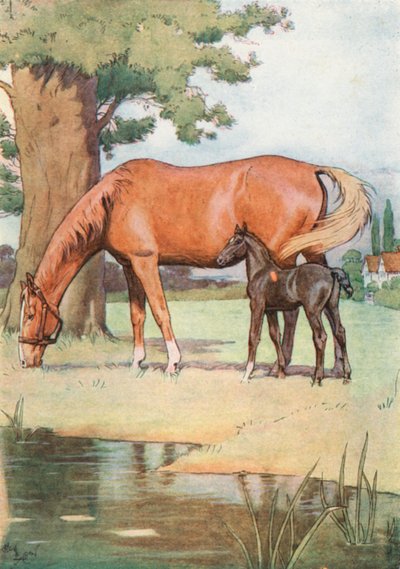 První místo, které si dobře pamatuji, byla Velká příjemná louka s jezírkem čisté vody od Cecil Charles Windsor Aldin