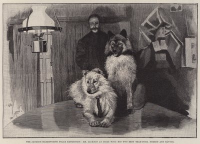 Polární expedice Jackson-Harmsworth, pan Jackson doma se svými dvěma nejlepšími medvědími psy, Nimrodem a Ravingem od Cecil Charles Windsor Aldin