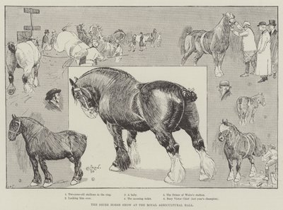Shire Horse Show v Royal Agricultural Hall od Cecil Charles Windsor Aldin