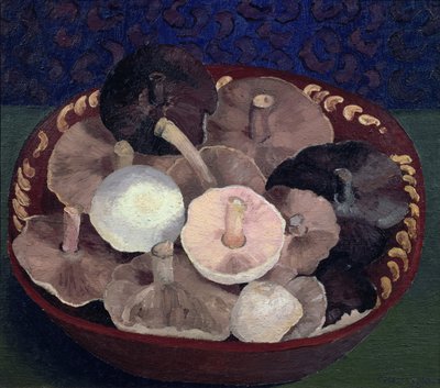 Houby od Cedric Morris